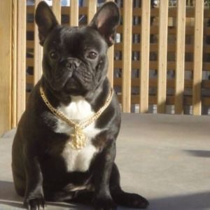 Meet your Posher, Kevin